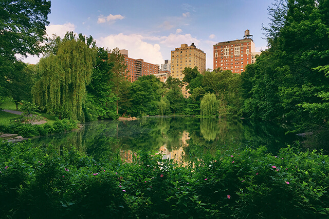 Central Park Lake